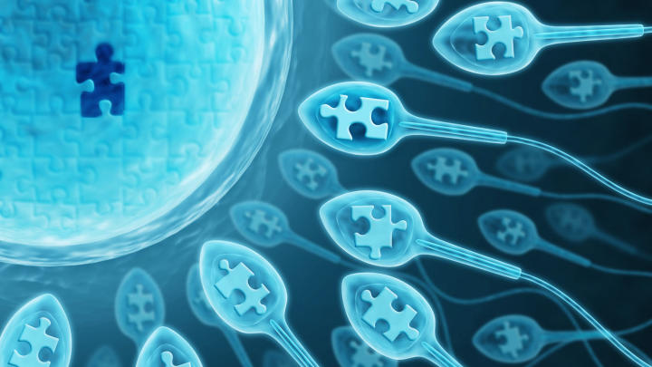 What is the Male Factor Infertility? - Dr Rita Bakshi