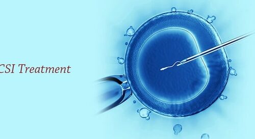 Need to Know about the Role of ICSI in IVF Treatment - Dr Rita Bakshi