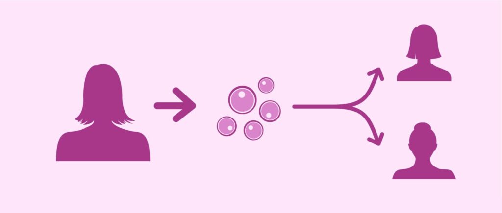 Why Donor Eggs are used in In-vitro Fertilization Treatment? - Dr Rita Bakshi