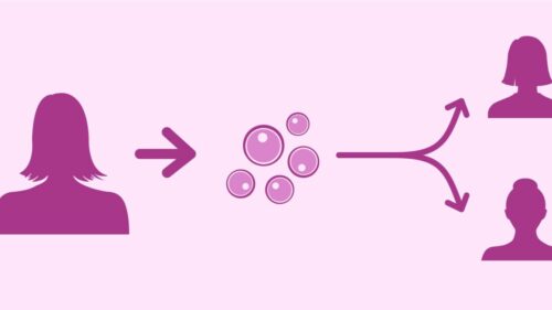 Why Donor Eggs are used in In-vitro Fertilization Treatment? - Dr Rita Bakshi