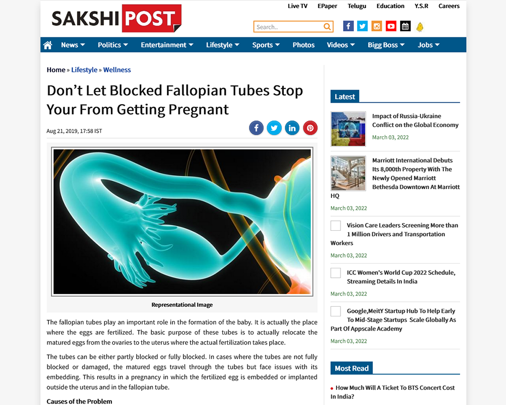 Do not Let Blocked Fallopian Tubes Stop Your From Getting Pregnant