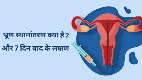 भ्रूण स्थानांतरण(Embryo transfer)