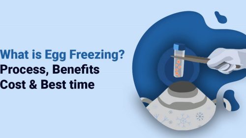 What is egg freezing . Process. Cost and use