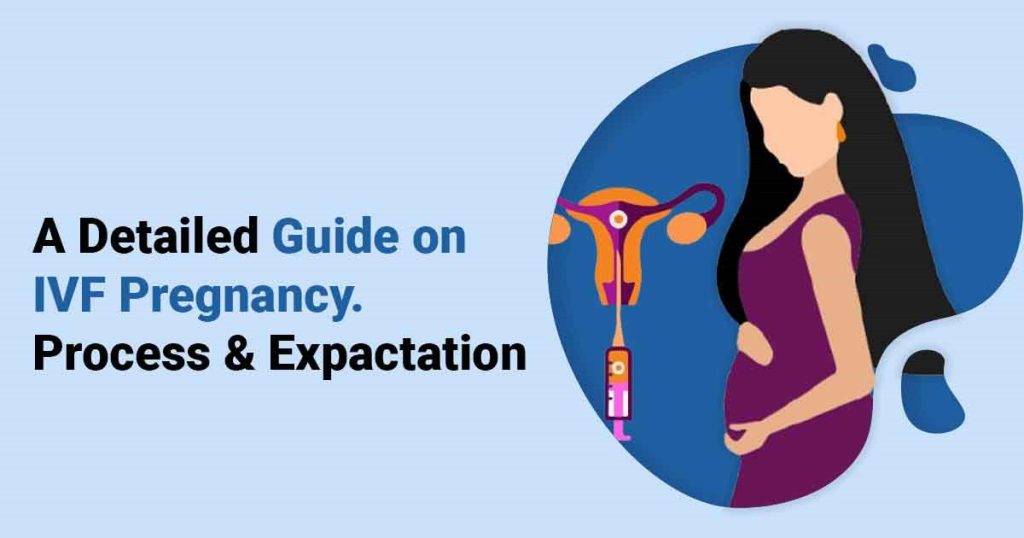 How IVF Pregnancy Works.