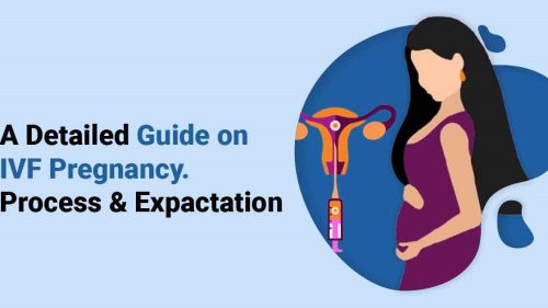 How IVF Pregnancy Works.