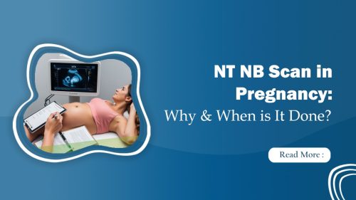 NT NB Scan in Pregnancy
