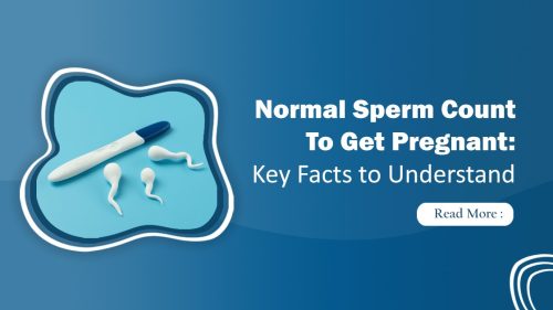 Normal Sperm Count to Get Pregnant