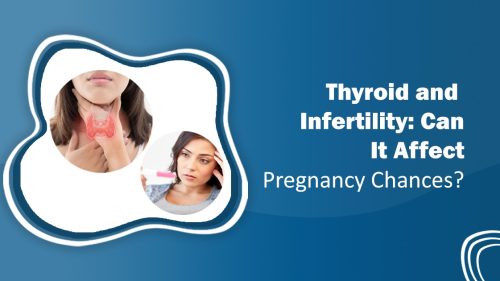 Thyroid and Infertility