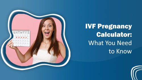 IVF Pregnancy Calculator: