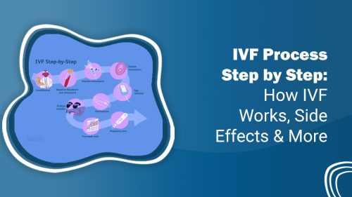 IVF process step by step