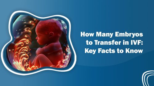How Many Embryos to Transfer in IVF