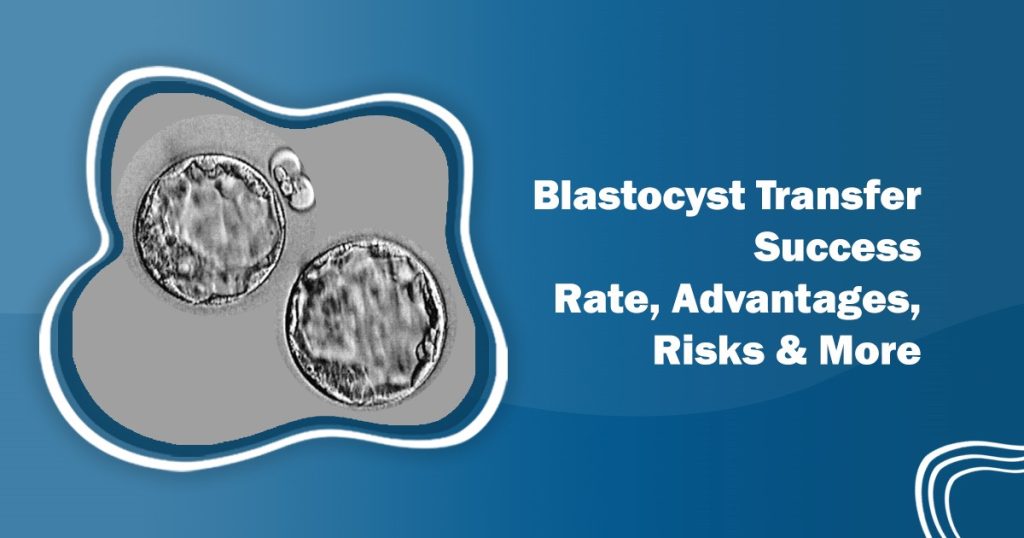 Blastocyst Transfer Success Rate