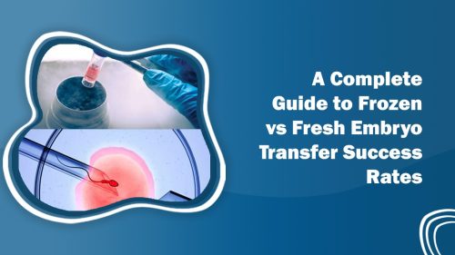 Fresh vs Frozen Embryo Transfer