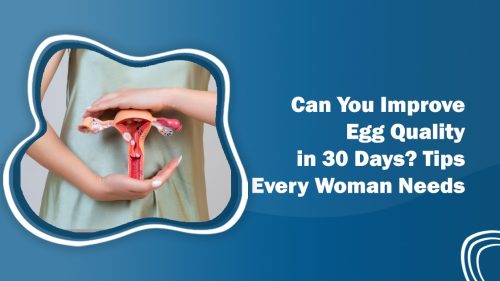 Improve Egg Quality in 30 Days