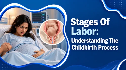 Stages of labor showing three main phases of childbirth including cervical dilation baby delivery and placenta delivery