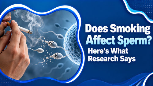Smoking affect sperm count motility and DNA fragmentation in male smokers